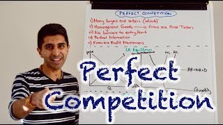 Y2 13 Perfect Competition [upl. by Khosrow]