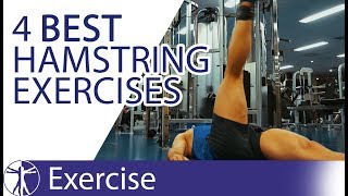 The 4 Best Hamstring Exercises  Hamstring Training [upl. by O'Donnell]