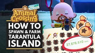 Animal Crossing New Horizons  How to Spawn amp Farm TARANTULA Island for Easy Bells [upl. by Godwin]