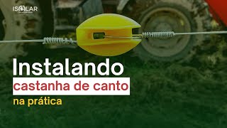 Como instalar CASTANHA na cerca elétrica rural [upl. by Leona]