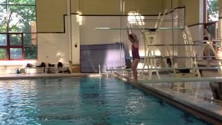 Teach a Flip for Springboard Diving [upl. by Noy820]