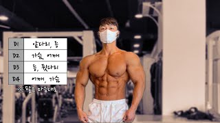 이것만 반복하세요 2분할 같은 4분할 운동루틴 [upl. by Ebneter]