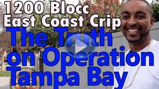 Lil Reece Riversides gang raid was exaggerated police operation on 1200 Blocc East Coast Crips [upl. by Dinesh901]