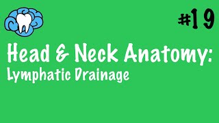 Head amp Neck Anatomy  Craniofacial Lymphatics  INBDE [upl. by Icnan]