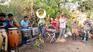 Jinetes en el cielo  banda la misteriosa de oax [upl. by Ayotel]