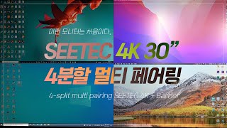 4분할 멀티페어링이 가능한 모니터 세팅하기  SEETEC  Barrier  해보까 TV [upl. by Annaesor]