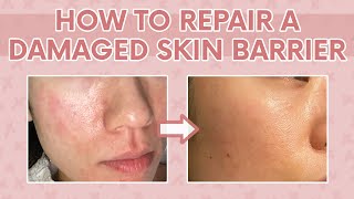 How to Heal a Damaged Skin Barrier 101  Tips to Repair a Damaged Moisture Barrier [upl. by Okomot]