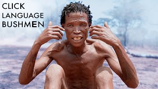 Bushmen Click Language – Ancient dialect of San People Namibia [upl. by Acsisnarf]