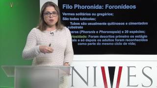 Zoologia de Invertebrados  Aula 24  Lofoforados  Filos Phoronida Ectoproctos Brachiopoda [upl. by Daus]