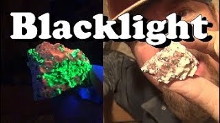 HOW TO FIND GOLD  Using a  BLACK LIGHT  ask Jeff Williams [upl. by Nnazus]