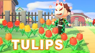 How to BREED Every TULIP Hybrid  Guide ► Animal Crossing New Horizons [upl. by Ettennej]