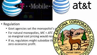 Public Policy Towards Monopolies [upl. by Corley]