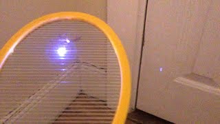 Electric Fly Swatter Battle Executioner vs ZapIt vs Elucto  Bug Zapper Review [upl. by Reidar]