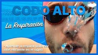 ▷ Aprende a NADAR desde 0 🏊  La RESPIRACIÓN 🗣 [upl. by Nnyleve]