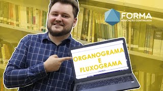 EXPLICANDO ORGANOGRAMA E FLUXOGRAMA [upl. by Frances]