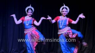 Indian girls perform Odissi dance in Delhi [upl. by Cchaddie423]