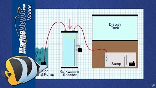 How to Use a Kalkwasser Reactor to Maintain Calcium amp Alkalinity [upl. by Nolie]