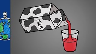 Milk Is Just Filtered Blood [upl. by Hufnagel387]