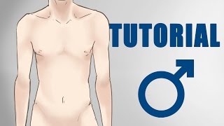 MÄNNER zeichnen lernen Einfach  Anatomie für Anfänger [upl. by Astto741]