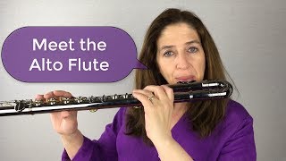 Meet the Alto Flute [upl. by Assillam341]