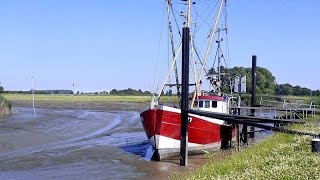 Doku Land im Gezeitenstrom  Von der Eider bis zur Elbe HD [upl. by Ahsiruam185]