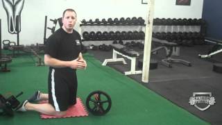 How To Correctly Do Ab Wheel Roll Out Exercise [upl. by Dibrin]