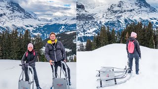 Grindelwald Sledding Run  Alpine Swiss mountain sled experience [upl. by Eninotna]