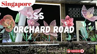 orchard road singapore [upl. by Larrej]