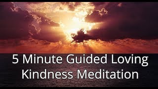 5 Minute Guided Loving Kindness Meditation [upl. by Yelah931]