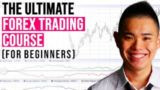 The ULTIMATE Forex Trading Course for Beginners [upl. by Ynohtna]