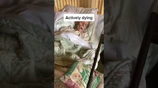 Video of Actively dying [upl. by Ahcsropal]