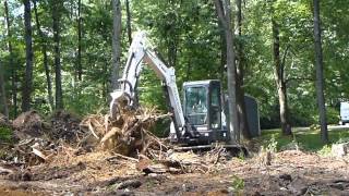 Mini Excavator Pulling Stumps With Ripper [upl. by Glenna]