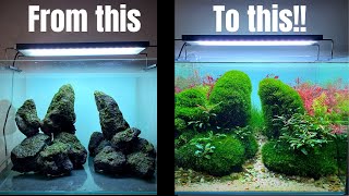 TAKE YOUR AQUASCAPE TO THE NEXT LEVEL WITH THIS MOSS METHOD [upl. by Palmer]