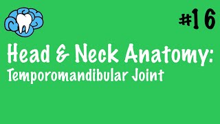 Head amp Neck Anatomy  TMJ Anatomy  INBDE [upl. by Aniratac88]