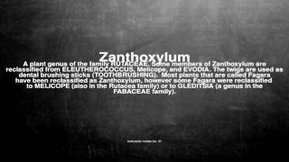 Medical vocabulary What does Zanthoxylum mean [upl. by Glendon298]