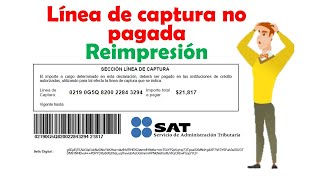 Reimpresión de Linea de Captura Vencida  SAT 2024 [upl. by Noakes]