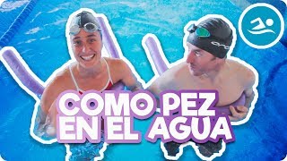 NATACIÓN Primeros desplazamientos [upl. by Jacoby346]