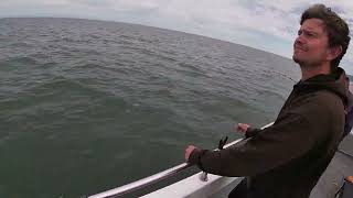 Bristol Channel Boat Fishing seafishing minehead [upl. by Ahsekar]