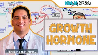 Endocrinology  Growth Hormone [upl. by Yrakcaz587]