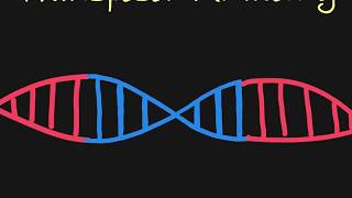 Introduction to Transposons [upl. by Freud423]