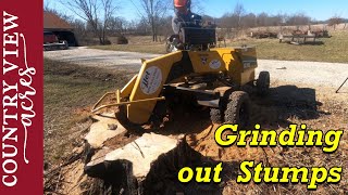 Removing Stumps with a Stump Grinder [upl. by Prudy]