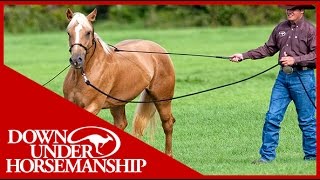 Clinton Anderson Training a Rescue Horse Part 7  Downunder Horsemanship [upl. by Eadrahc]