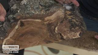 Burl Wood Bowl Blanks – Where Do You Start [upl. by Rakso]