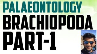 Geology palaeontology lecture series brachiopoda [upl. by Malha]