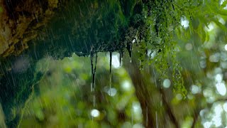 Regen in der Natur Regengeräusche zum Einschlafen 6 Stunden Naturgeräusche in 4K [upl. by Siubhan]