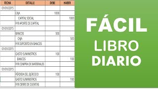 El Libro Diario  Contabilidad [upl. by Aiderfla]