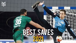 Best Handball Saves ● Crazy Goalkeepers Saves ● 2021 ᴴᴰ [upl. by Stutman]