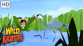 WILD KRATTS  Looking For Herons  Birds [upl. by Ytsud]