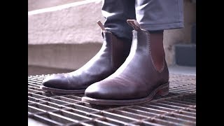 Review Australias National Boot the RM Williams Comfort Craftsman [upl. by Fairleigh]