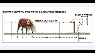 17°CERCA ELÉTRICA “DIMENSIONAMENTO RAIO DE AÇÃO CERCA LINEAR” [upl. by Bria]